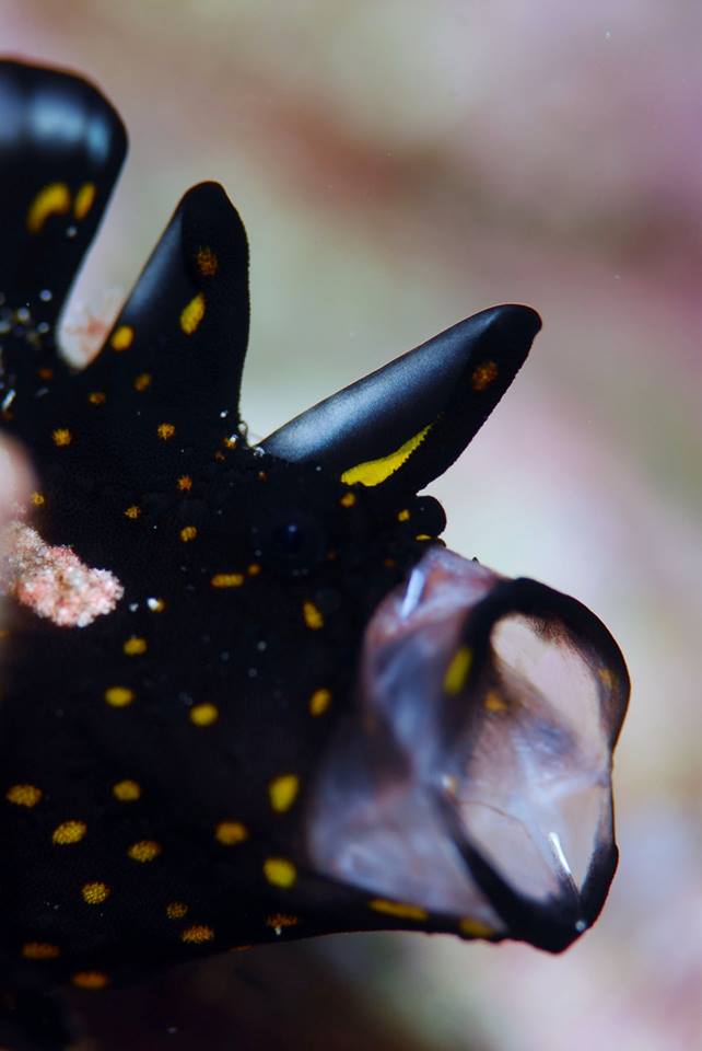 �����@��l